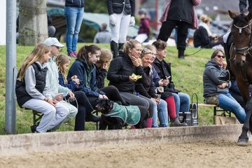 Bild 27 - Pony Akademie Turnier